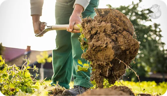szpadel prosty do przekopywania ziemi